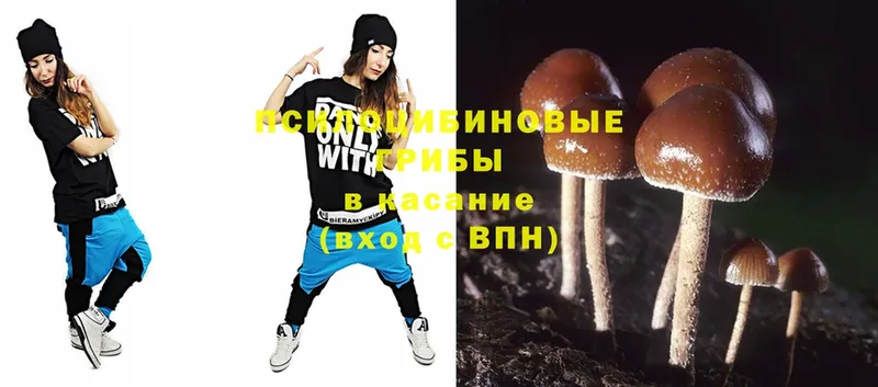 Галлюциногенные грибы Magic Shrooms  Ноябрьск 